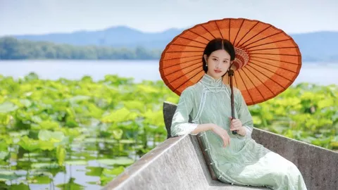 吴秀波强制执行事件