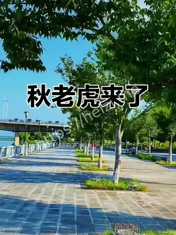 广州降温