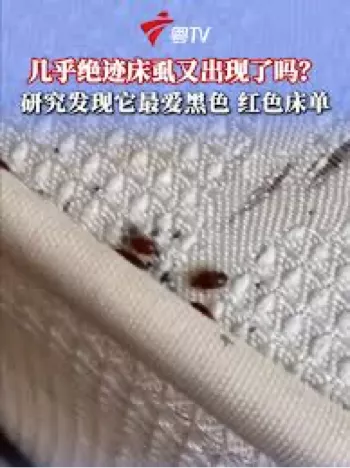 床虱